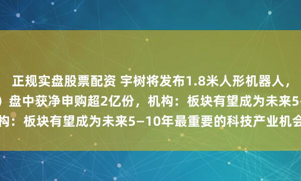 正规实盘股票配资 宇树将发布1.8米人形机器人，机器人ETF（159770）盘中获净申购超2亿份，机构：板块有望成为未来5—10年最重要的科技产业机会之一