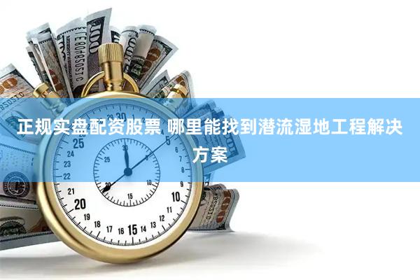 正规实盘配资股票 哪里能找到潜流湿地工程解决方案
